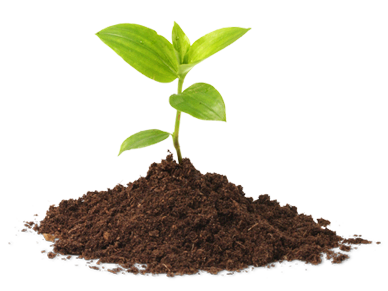 100% Carbon offset